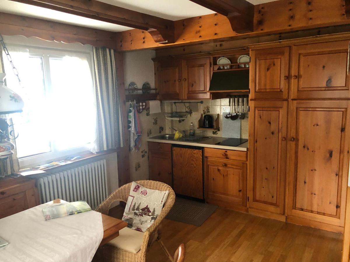 הינטרצארטן Gaestehaus Lickert Ferienwohnung Sued Feldberg מראה חיצוני תמונה