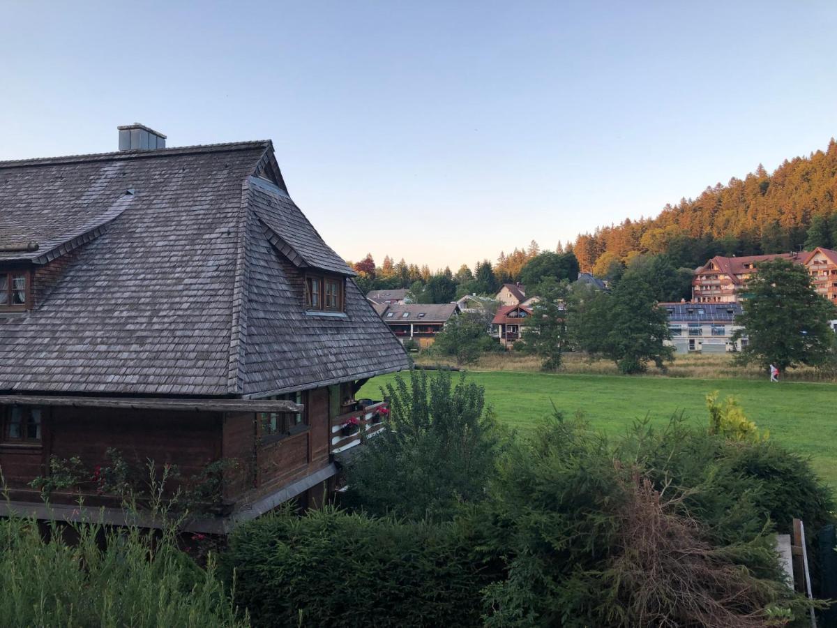 הינטרצארטן Gaestehaus Lickert Ferienwohnung Sued Feldberg מראה חיצוני תמונה