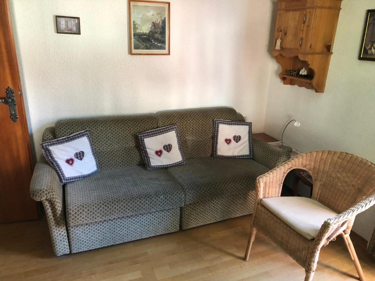 הינטרצארטן Gaestehaus Lickert Ferienwohnung Sued Feldberg מראה חיצוני תמונה