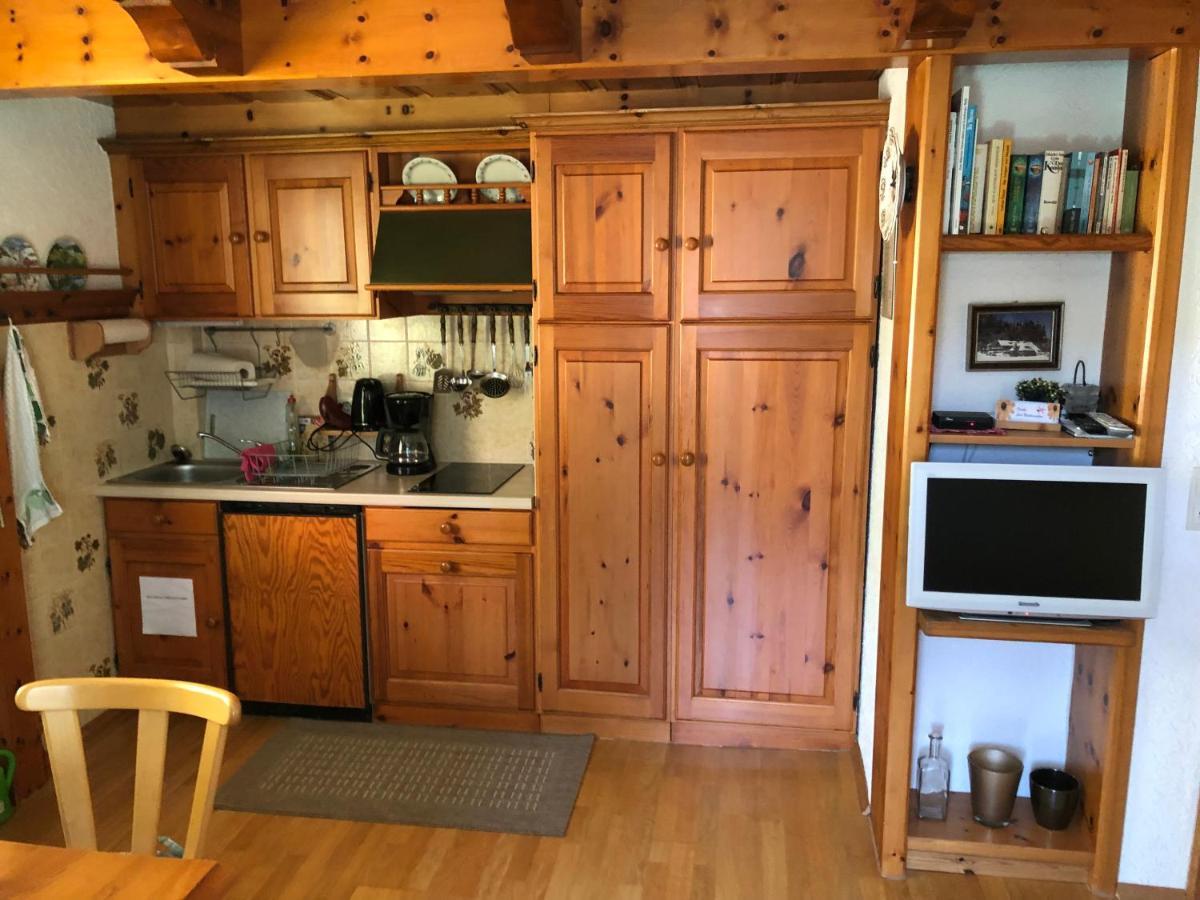 הינטרצארטן Gaestehaus Lickert Ferienwohnung Sued Feldberg מראה חיצוני תמונה