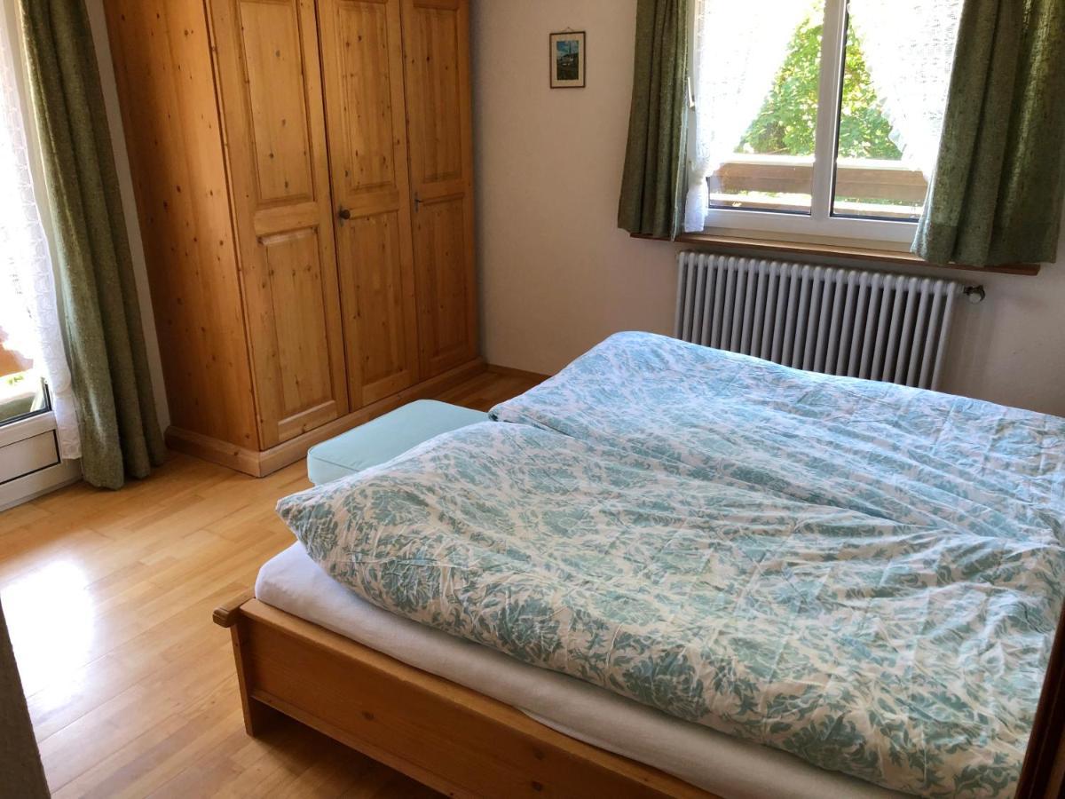 הינטרצארטן Gaestehaus Lickert Ferienwohnung Sued Feldberg מראה חיצוני תמונה