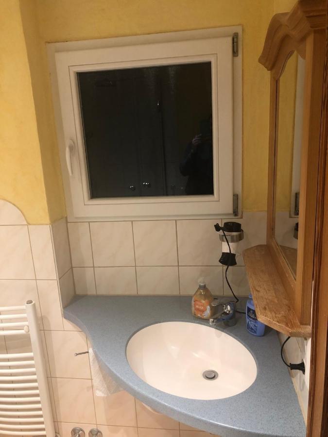 הינטרצארטן Gaestehaus Lickert Ferienwohnung Sued Feldberg מראה חיצוני תמונה